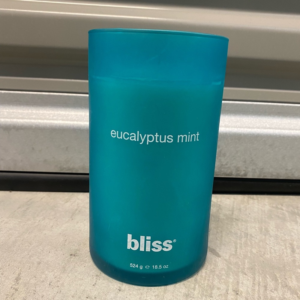 Eucalyptus Mint Bliss Candle